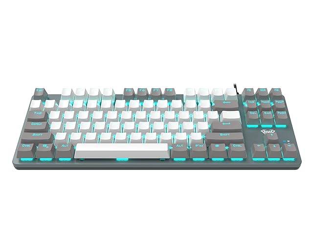 AULA F3287 TKL Tenkeyless Mechanical Wired USB Gaming Keyboard | 8 Different Pre-Set Game Modes Without Numlock Keys (Grey, White) - Rajputtrade