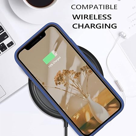 iPhone 11 Pro Max 6.5 inch, Shockproof Slim Back Cover Liquid Silicone Case - Blue - Rajputtrade