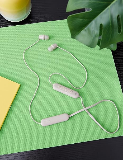 Sony WI-C100 Wireless Headphones with Customizable Equalizer for Deep Bass & 25 Hrs Battery - Rajputtrade