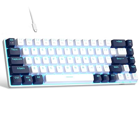 MageGee Portable 60% Mechanical Gaming Keyboard, MK-Box LED Backlit Compact 68 Keys Mini Wired Office Keyboard with Red Switch for Windows Laptop PC Mac - White/Blue - Rajputtrade