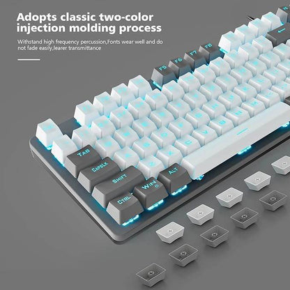 AULA F3287 TKL Tenkeyless Mechanical Wired USB Gaming Keyboard | 8 Different Pre-Set Game Modes Without Numlock Keys (Grey, White) - Rajputtrade